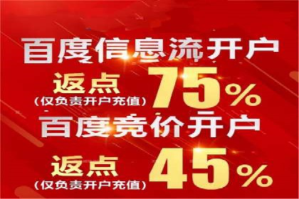 某电商平台的SEM关键词策略及成效分析